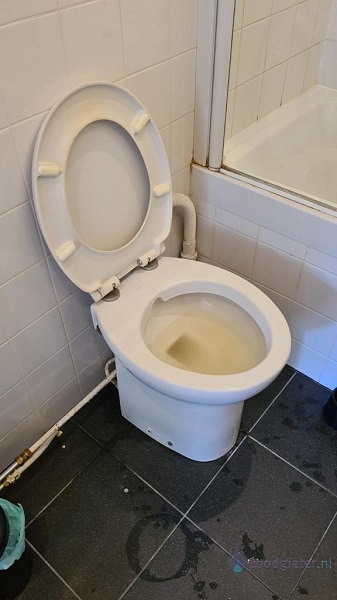  verstopping toilet Assen